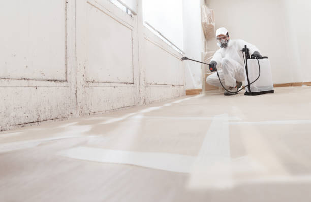 24/7 Emergency Mold Remediation experts in Fort Lee, NJ