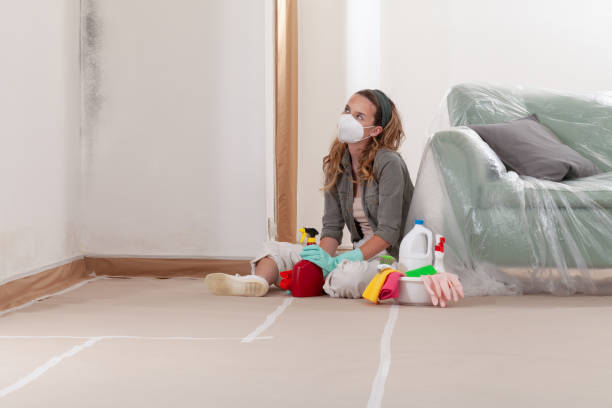 Reliable Mold Remediation contractor in Fort Lee, NJ by WQB Mold Removal